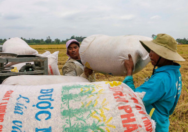 Việt Nam trúng thầu bán 60.000 tấn gạo cho Philippines