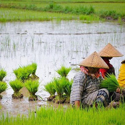 Việt Nam và 7 nước ASEAN có nền kinh tế mới nổi vượt trội nhất thế giới