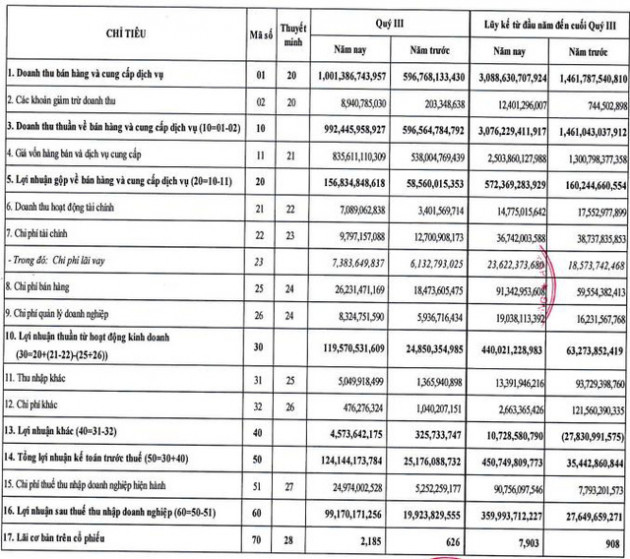 Việt Pháp Group (VPG): 9 tháng báo lãi 360 tỷ đồng, cao gấp 13 lần cùng kỳ và gấp 2,4 lần mục tiêu cả năm - Ảnh 1.