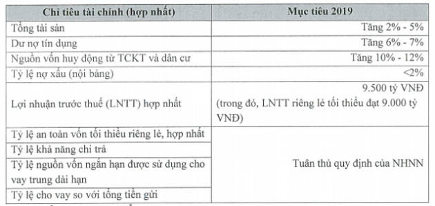 VietinBank muốn giữ lại lợi nhuận, thoái vốn khỏi công ty con và bán danh mục đầu tư trong năm 2019 - Ảnh 1.