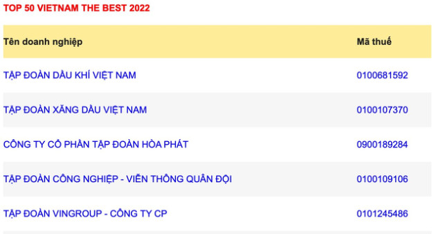 Vietnam Report công bố 10 doanh nghiệp lớn nhất năm 2022: Hòa Phát nhảy 3 bậc lên ngôi vị cao nhất - Ảnh 2.