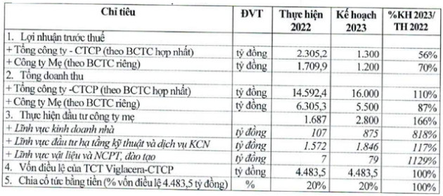 Viglacera đặt mục tiêu doanh thu 2023 cao kỷ lục, lợi nhuận đi lùi 44% - Ảnh 1.