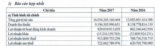 Viglacera: Kế hoạch lãi trước thuế 950 tỷ đồng năm 2018 - Ảnh 2.