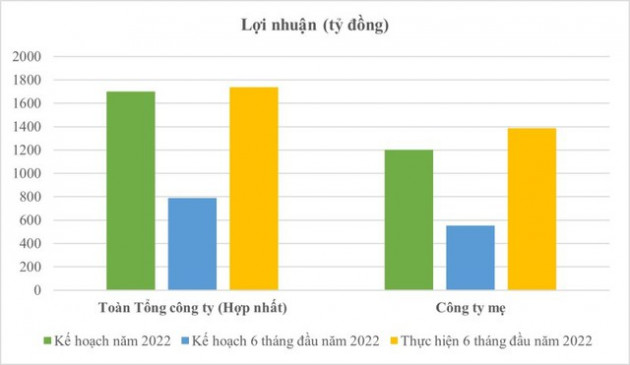 Viglacera (VGC) thắng lớn nhờ Kính xây dựng và Bất động sản, lợi nhuận 6 tháng vượt kế hoạch năm - Ảnh 1.