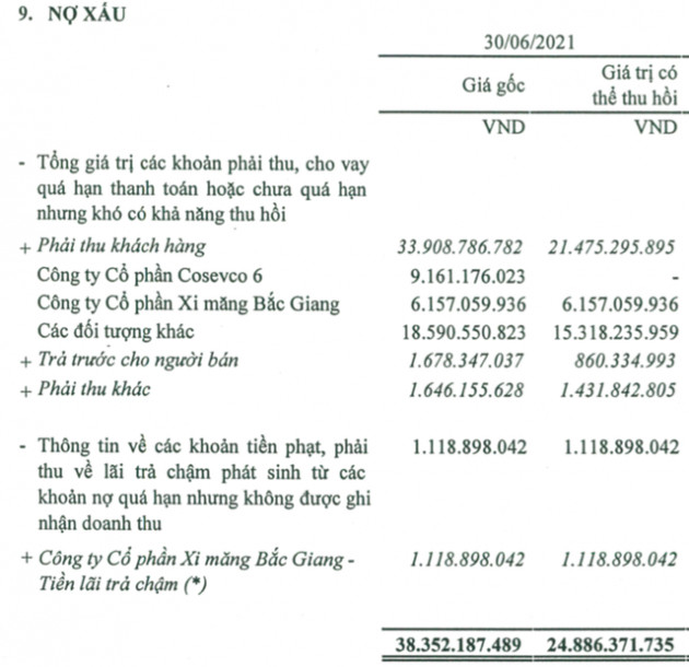 Vinaconex 9 (VC9): Hậu kiểm toán chuyển từ có lãi sang lỗ - Ảnh 1.