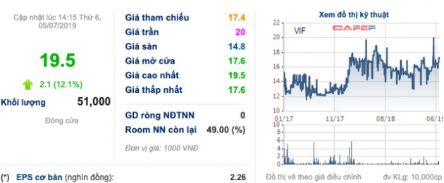 Vinafor lỗi hẹn niêm yết vì ra soát đất đai, LNTT nửa đầu 2019 ước đạt 502 tỷ đồng - Ảnh 3.