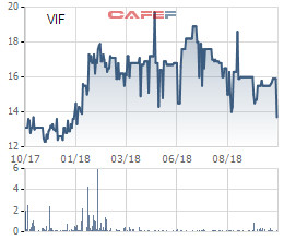 Vinafor nhận 538 tỷ đồng lợi nhuận từ công ty liên kết, 9 tháng hoàn thành 76% kế hoạch lợi nhuận cả năm - Ảnh 3.