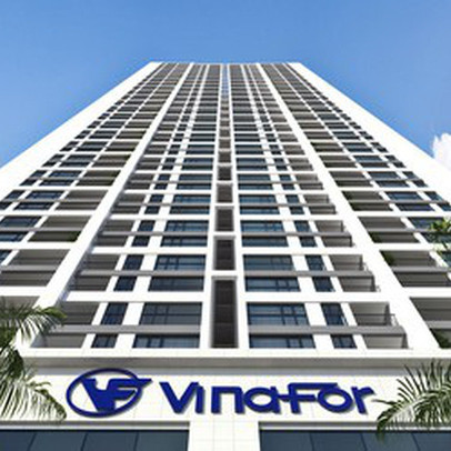 Vinafor (VIF) báo lãi quý 2 cao gấp 7 lần cùng kỳ nhờ lợi nhuận từ công ty liên doanh liên kết