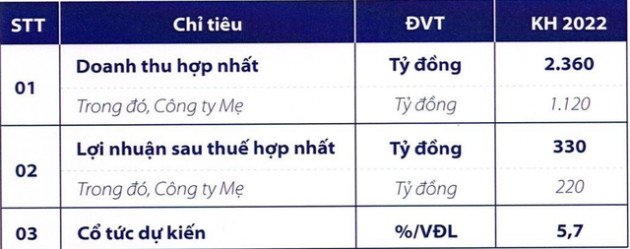 Vinafor (VIF) đặt mục tiêu lãi sau thuế năm 2022 tăng 15% lên 330 tỷ đồng - Ảnh 2.