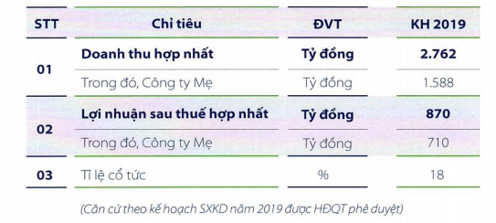 Vinafor (VIF): Kế hoạch lãi sau thuế đi ngang, ước đạt 870 tỷ đồng năm 2019 - Ảnh 3.