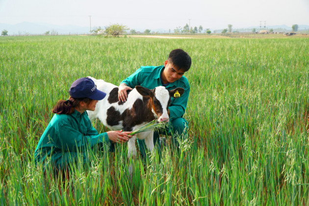 Vinamilk bắt tay với doanh nghiệp Lào, Nhật Bản, khởi công xây dựng tổ hợp resort bò sữa organic 5.000ha tại Lào - Ảnh 2.