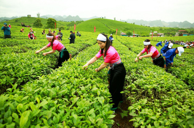 Vinamilk công bố Nghị quyết HĐQT mua trên 51% GTNFoods - Ảnh 1.