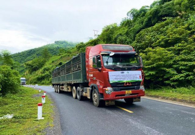  Vinamilk nhập đàn bò sữa 1000 con từ Mỹ về trang trại bò sữa Lao-Jagro tại Lào - Ảnh 3.