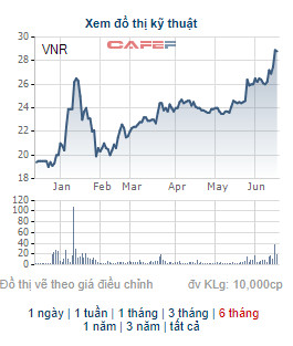 Vinare (VNR) chi 200 tỷ đồng trả cổ tức tỷ lệ 15%, cổ phiếu VNR tăng 45% từ đầu năm - Ảnh 2.