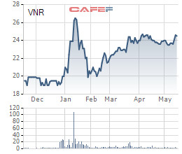 Vinare (VNR) triển khai phương án phát hành 19 triệu cổ phiếu thưởng - Ảnh 1.