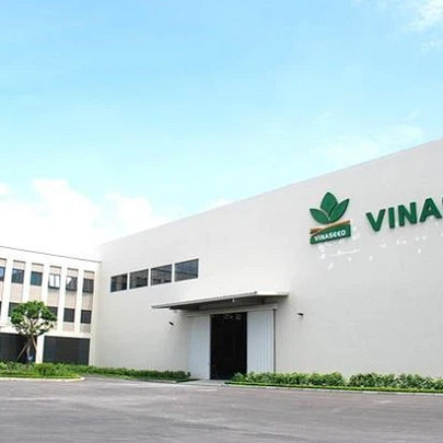 Vinaseed (NSC) sắp trả cổ tức bằng tiền với tỷ lệ 20%