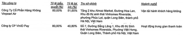 Vingroup thu về hơn 2.400 tỷ từ VinFast và VinSmart, Vinpearl đã nắm giữ 80% Vinpearl Air - Ảnh 1.