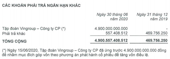 Vingroup ứng trước 4.900 tỷ cho VEFAC để triển khai loạt dự án quy mô 79.000 tỷ đồng tại Giảng Võ, Đông Anh và Nam Từ Liêm - Ảnh 2.