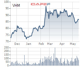 VinHomes đặt kế hoạch 20.600 tỷ đồng LNST, tăng 40% so với năm 2018 - Ảnh 2.