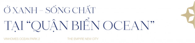 Vinhomes Ocean Park 2 - The Empire “new city” mới sầm uất phía Đông Thủ đô - Ảnh 4.