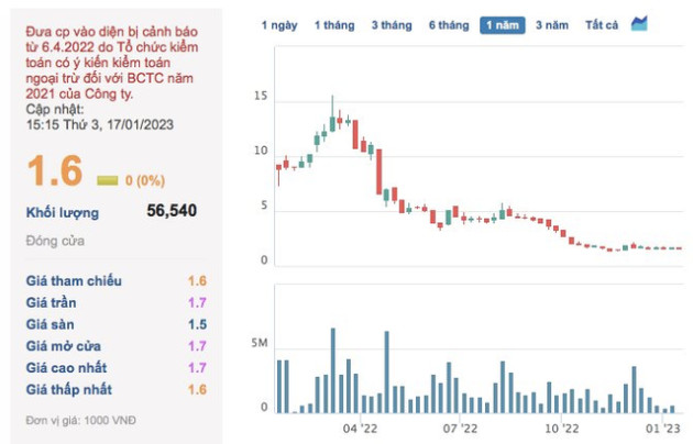 VKC Holdings (VKC) lỗ kỷ lục 238 tỷ đồng năm 2022 - Ảnh 1.