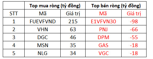 VN-Index giảm điểm sau 5 phiên tăng liên tiếp, khối ngoại mua ròng 432 tỷ đồng, tập trung gom FUEVFVND - Ảnh 1.