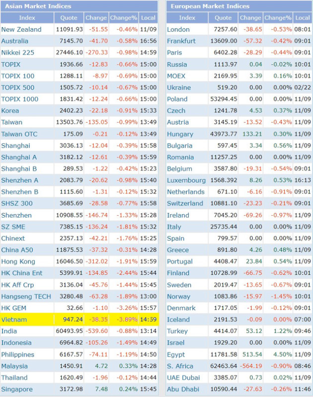 VN-Index giảm mạnh nhất Châu Á, chứng khoán Việt Nam xuống đáy 2 năm - Ảnh 1.