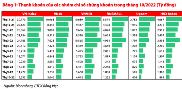 VN-Index về mức thấp trong nhiều năm, dựa vào đâu để chọn cổ phiếu đáng đầu tư trong dài hạn? - Ảnh 1.