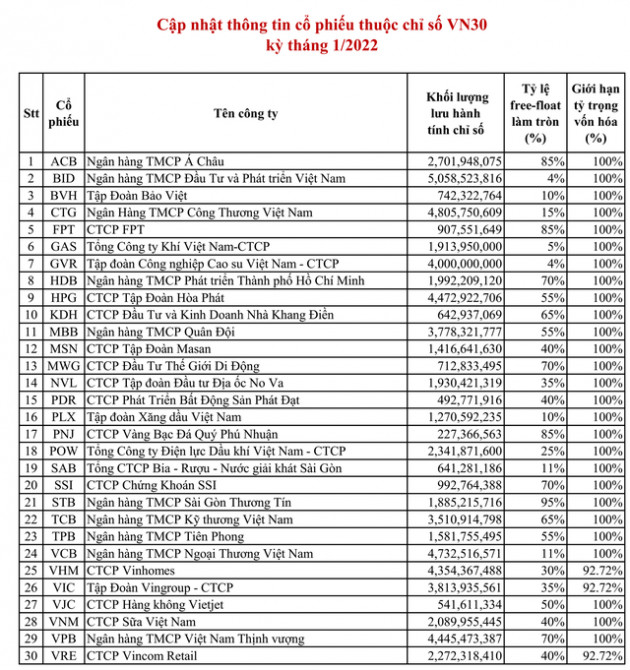 VNDiamond Index chính thức thêm mới OCB, TCM, DHC, loại 2 cổ phiếu trong kỳ cơ cấu danh mục - Ảnh 2.