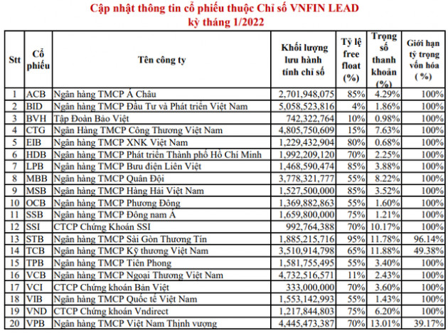 VNDiamond Index chính thức thêm mới OCB, TCM, DHC, loại 2 cổ phiếu trong kỳ cơ cấu danh mục - Ảnh 3.