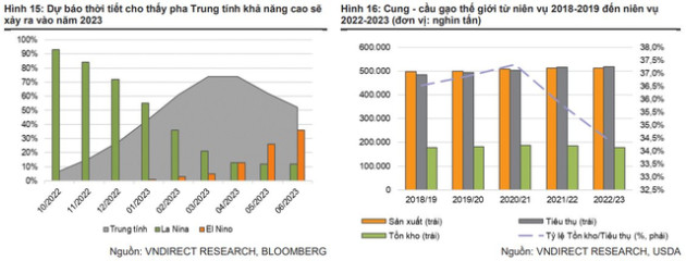 VNDIRECT: Khó khăn của doanh nghiệp sản xuất thịt sẽ giảm bớt trong năm 2023 khi giá lợn tăng thêm - Ảnh 5.