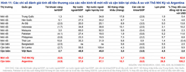 VNDIRECT: “Khủng hoảng tài chính tại các thị trường mới nổi khó tác động mạnh đến Việt Nam” - Ảnh 1.