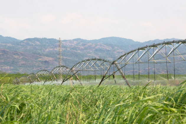 VnIndex tăng mạnh, thị trường chứng khoán tháng 6 có “gọi tên” những cổ phiếu chưa tăng? - Ảnh 2.