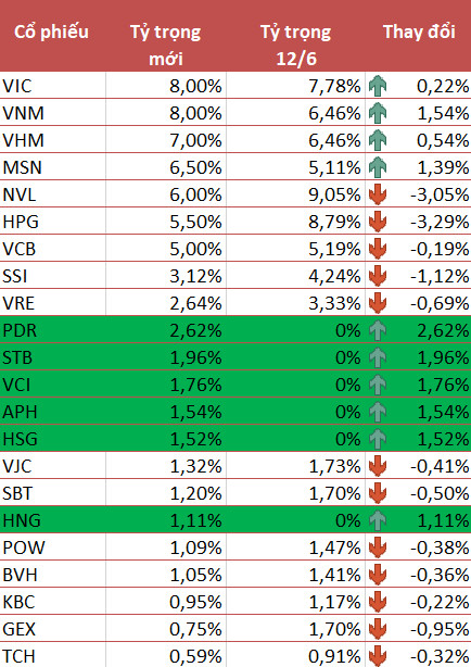 VNM ETF thêm mới 6 cổ phiếu PDR, STB, VCI, APH, HSG và HNG trong kỳ review quý 2/2021 - Ảnh 1.