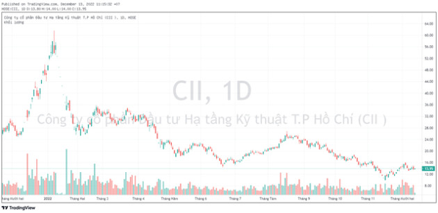 Vợ Tổng Giám đốc Đầu tư Hạ tầng Kỹ thuật TP.HCM (CII) liên tục gia tăng sở hữu cổ phiếu - Ảnh 1.