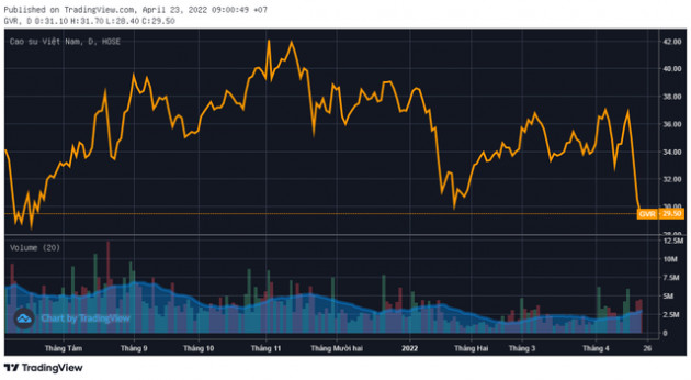 Vốn hóa “bốc hơi” 29.000 tỷ đồng trong chưa đến 1 tuần, Tập đoàn Cao su (GVR) lùi thời hạn họp Đại hội cổ đông - Ảnh 1.
