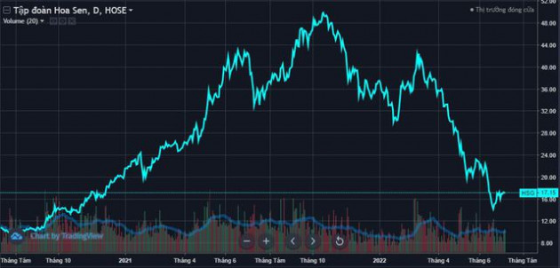 Vốn hóa Hoa Sen mất hơn 16.000 tỷ chỉ sau 9 tháng - Ảnh 1.