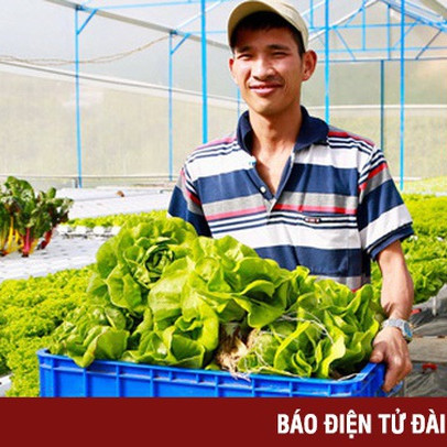 Vụ rau VietGAP 'dởm' vào siêu thị: Lâm Đồng tăng cường quản lý nguồn gốc nông sản