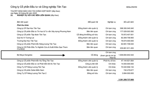 Vụ Tân Tạo chuyển ‘tiền khủng’ sang Mỹ: Quy định chuyển tiền ra nước ngoài có lỏng?