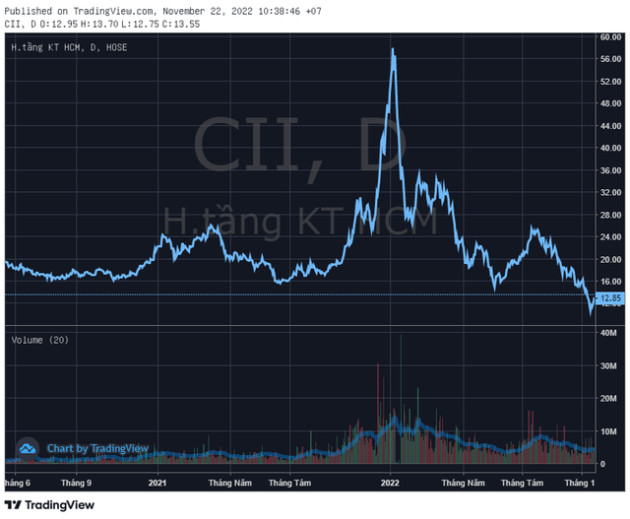 Vừa không được UBCKNN chấp thuận phát hành cổ phiếu thưởng, CII muốn thoái toàn bộ vốn tại công ty con - Ảnh 1.