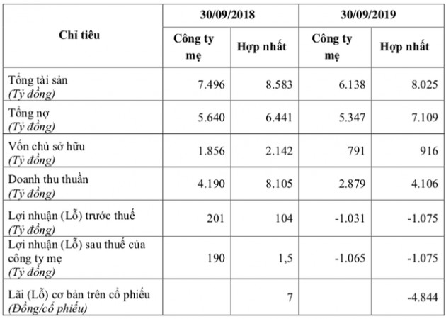 Vừa lỗ hơn ngàn tỷ, Thuỷ sản Hùng Vương (HVG) vẫn tham vọng lãi 790 tỷ năm 2020 sau khi bắt tay với THADI - Ảnh 2.