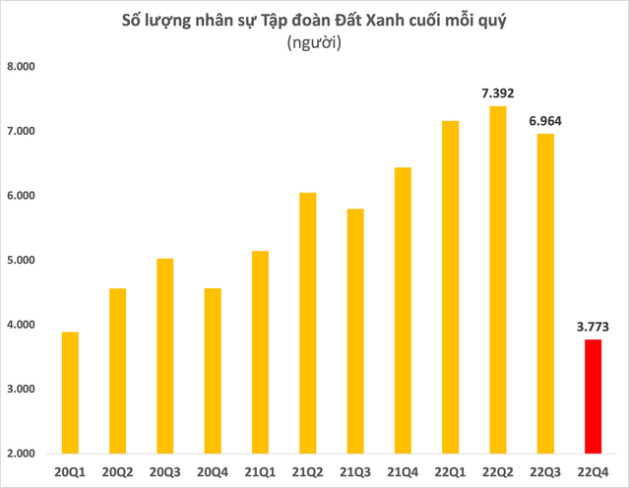 Vừa ngậm ngùi cắt giảm hơn 3.000 nhân sự, anh cả môi giới Đất Xanh sẽ đối mặt những thách thức nào trong năm tới? - Ảnh 2.