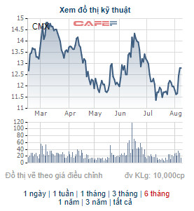 Vừa phát hành hơn 30 triệu cổ phiếu tăng VĐL lên gấp đôi, Camimex Group (CMX) lại triển khai phát hành riêng lẻ tiếp 30 triệu cổ phiếu - Ảnh 1.