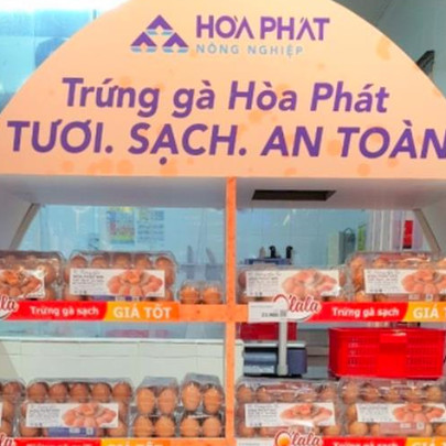 Vua thép Hòa Phát "dội bom trứng gà", bán hơn 1 triệu quả/ngày kể từ đầu tháng