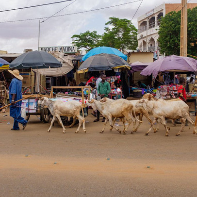 Vùng đất kỳ lạ bị Covid-19 lãng quên: Cơ sở cách ly phủ bụi, trung tâm điều trị bỏ hoang nhiều tháng nay, người dân không cần đeo khẩu trang