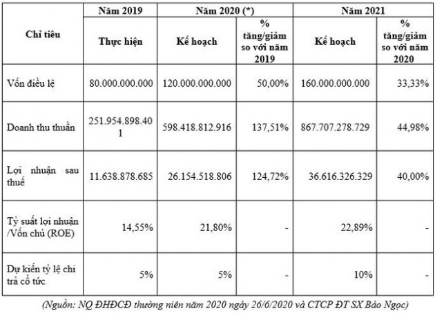 Vươn lên trong đại dịch, Bảo Ngọc kỳ vọng đạt doanh thu tăng trưởng 240%, niêm yết trên HNX - Ảnh 2.