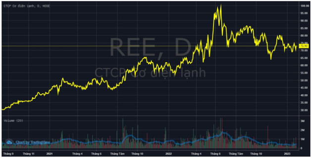 Vượt 70% kế hoạch lợi nhuận năm 2022, REE sắp chi hàng trăm tỷ trả cổ tức tiền mặt cho cổ đông - Ảnh 2.