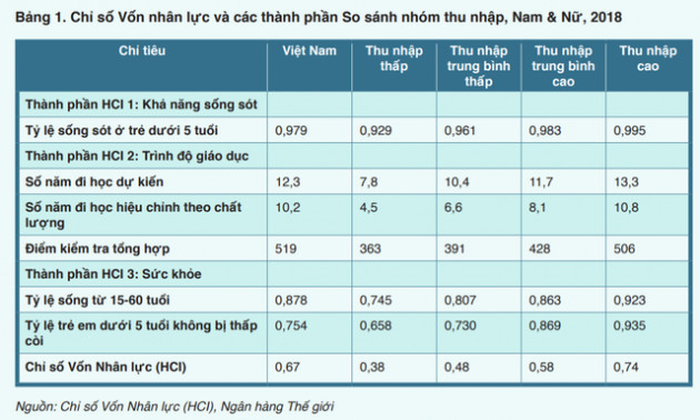 World Bank: Việt Nam nỗ lực trở thành con rồng trỗi dậy ở châu Á cả về kinh tế, xã hội và giáo dục - Ảnh 1.