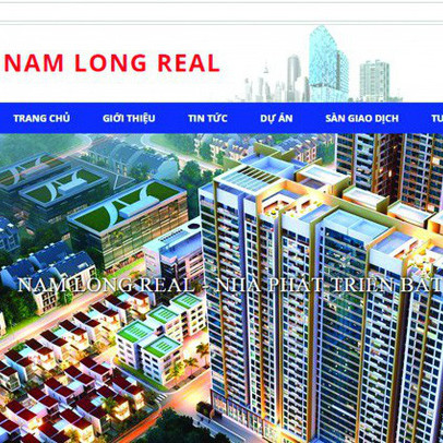 Xâm phạm sở hữu trí tuệ, Nam Long Real bị thanh tra đột xuất