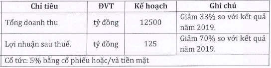 Xây dựng Hoà Bình (HBC): Tạm hoãn phát hành ESOP 2019 do thị trường chưa phù hợp, kế hoạch LNST thận trọng với 125 tỷ đồng - Ảnh 1.